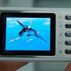 Illustration for article titled Gemei X21 Portable Audio Player With Monkeys Audio Support